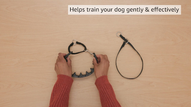 Starmark Pro-Training Dog Collar Large - image 7