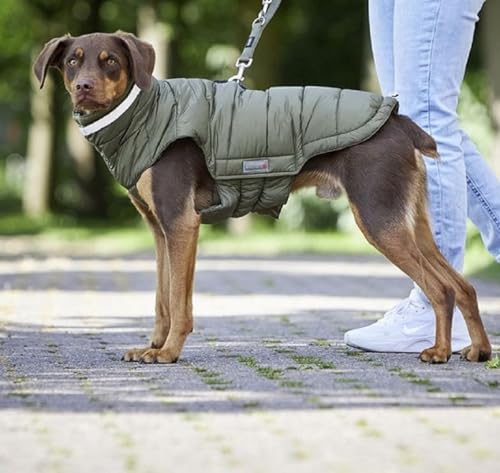Wolters Steppjacke Cosy, Größe:30 cm, Farbe:Olive
