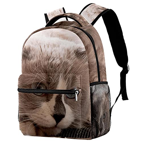 Sac à dos de voyage motif chat mignon avec porte-bouteille ergonomique