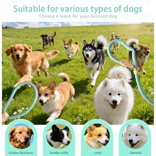 Rieoany Retrieverleine mit Zugstopp, 180 cm Hundeleine aus Polyester, Anti-Zieh Schleppleine für Hunde, Leichtes Führungsleine für Training Spaziergang, Cyan