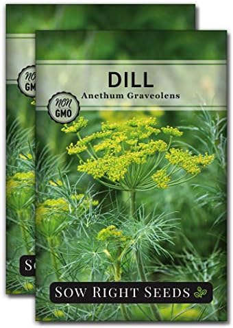 Sow Right Seeds - Dill Seed for Planting - Non-GMO Heirloom Seeds with Instructions to Plant and Grow Kitchen Herb Garden, Indoor or Outdoor; Great Gift.