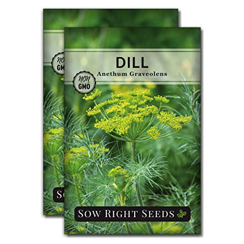Sow Right Seeds - Dill Seed For Planting - Non-Gmo Heirloom Seeds With Instructions To Plant And Grow Kitchen Herb Garden, Indoor Or Outdoor; Great Gift. #TOP17
