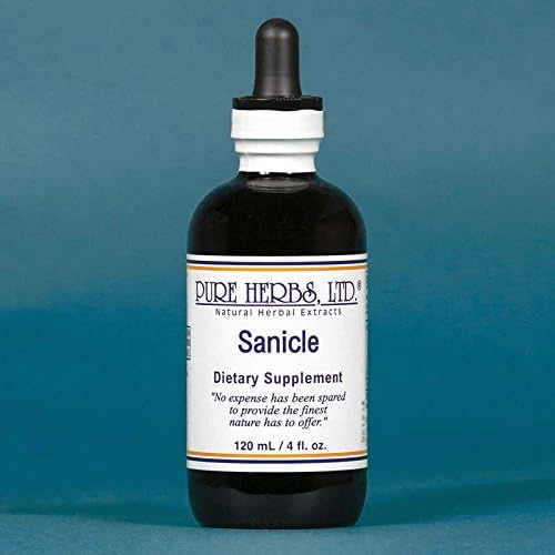 Sanicle