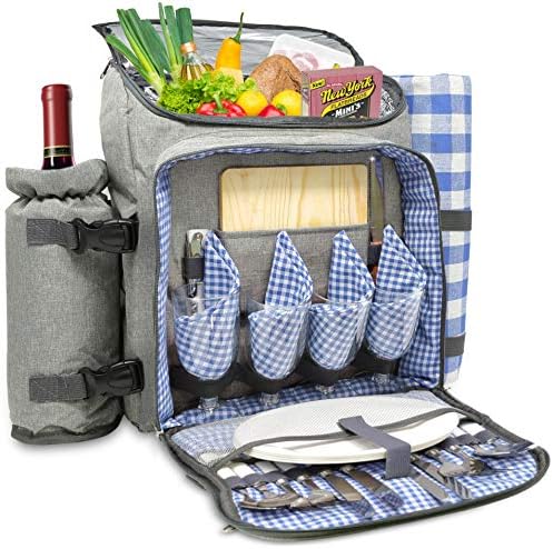 picnic backpack for 4