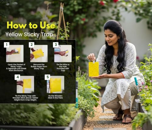 Image of Chipku Yellow Non Toxic Chemical Free Sticky Fly Trap Pads for Insects, Whiteflies, Aphids, Leaf Miner & Thrips (Yellow) (Garden Sticky Trap Pack of 10)