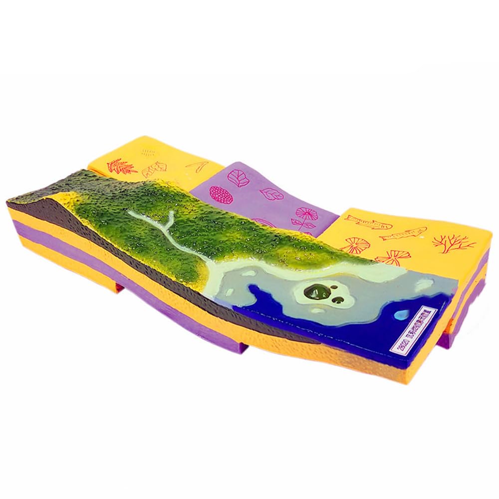 Modelo de sedimentación de geografía y demostración para aula de ciencias