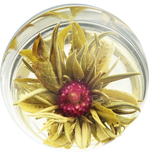 Amazon.co.jp: 12個 中国茶 工芸茶 花茶 花開富貴(センニチコウ花