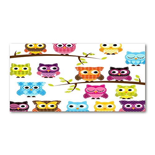 Crédence de cuisine dosseret en verre 100x50cm fond de hotte chouettes Tulup