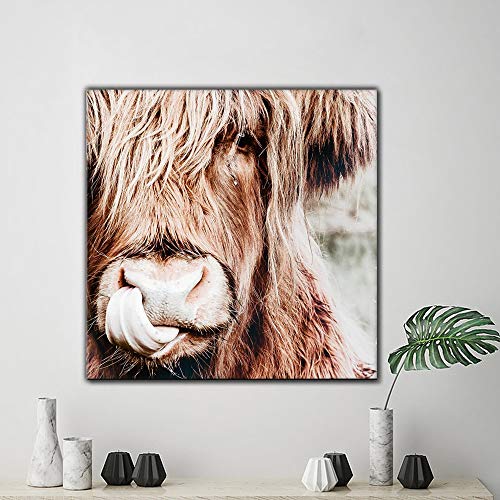 Poster vache de montagne Highland 30x30 cm en toile nordique pour decoration interieure
