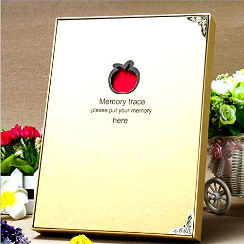 Album per scrapbooking/album per foto Mamachu