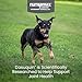 Nutramax Dasuquin for Small to Medium Dogs, Joint Health Supplement, Contains Glucosamine for Dogs, Plus Chondroitin, ASU and More, Supports Healthy Joints, Soft Chews, 84 Count