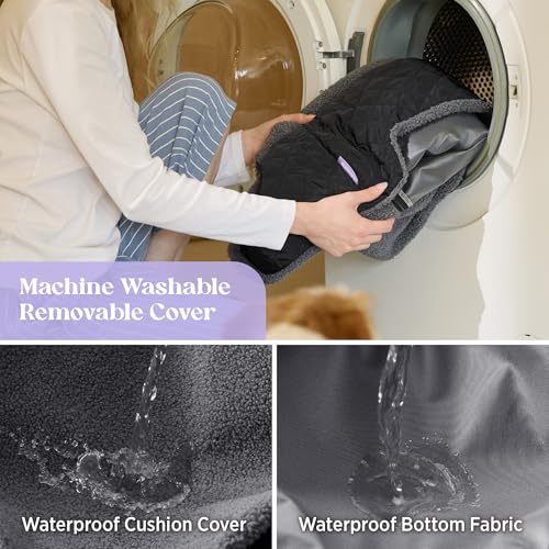 Lesure Hundesitz Auto Kleine Hunde - Wasserdichter Hundesitz Auto Rückbank, Hunde Autositz Für Kleine Hundemit, Ansteckbare Leine Für Autositz Hund, Schwarz