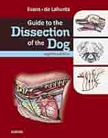 Evans and de Lahunta 犬の解剖 第七版 Guide to the Dissection of the Dog by Evans & de Lahunta 7th