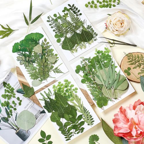 La mejor selección de Hojas secas - los preferidos. 14 Imagen adicional