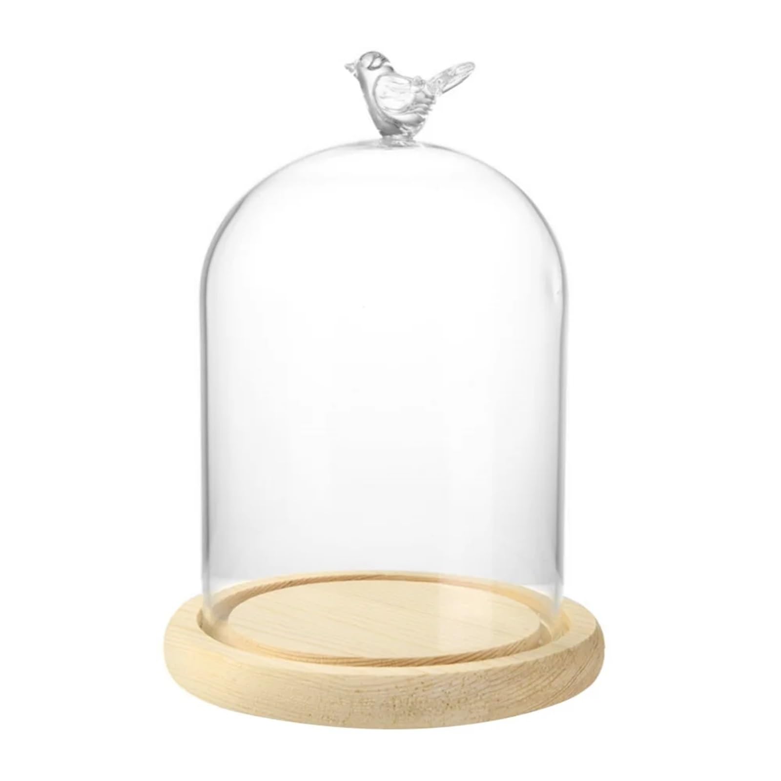 Cloche en verre transparent avec socle en bois et poignée pour vitrine de pot