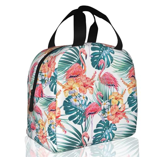 sN t~S V̗t nCrXJX̉ Mт̉ fM`obO ėp\ `{bNX  j N[[ ۉ~[g[g q wZ w sNjbN ItBX dp