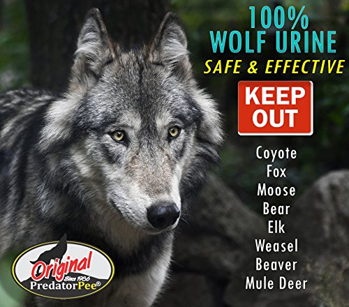 image for Predator Pee 100% Wolf Urine - Territorial Marking Scent - Creates Ill