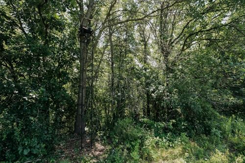 Image of MuddyMuddy