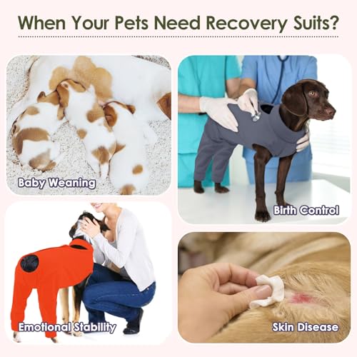 Image of KOESON Dog Recovery Suit for Hind Leg, Soft Recovery Sleeve for Female Male Dogs, Pet Rear Leg Wound Cover to Stop Licking, Dog Surgery Shirt for Rear Legs