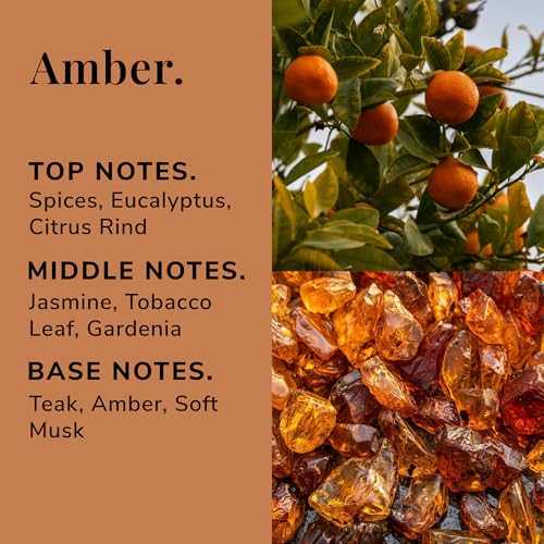 Difusor Osmology by Aery Amber Reed 150ml miniatura 4