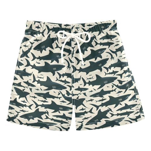 ALAZA Funny Fish Shark Boys' Swim Trunks Beach Shorts Quick Dry Swimsuit 2T