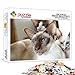 Puzzle One Piece 1000 pièces tête de Chat colorée Puzzle Casse tête Adulte pour Adultes et Enfants dès 14 Ans - Premium Puzzle de qualité supérieure