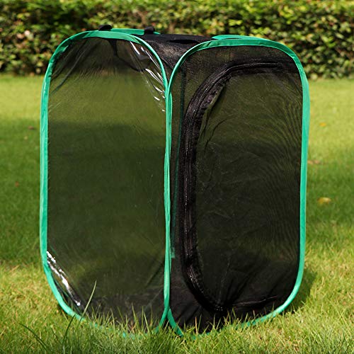 Image of RESTCLOUD Insect and Butterfly Habitat Cage Pop-up 23.6 Inches Tall | Butterfly Terrarium, Enclosure, Tight Mesh