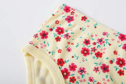 Barara King Girls Assorted Prints Panties Soft Underwear2