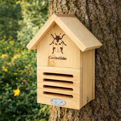 CKB LTD Maison en bois de coccinelle pour jardin – Boîte d'habitat coccinelle en pin – Abri...