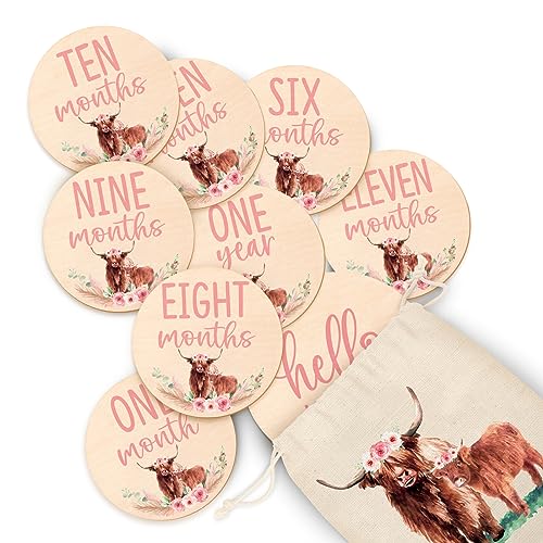 Image of Huray Rayho Floral Highland Cow Baby Monthly Milestone Cards with Drawstring Bag Watercolor Scottish Cattle Discs Newborn Photography Props, from One Month to One Year Announcement Signs New Mom Gift