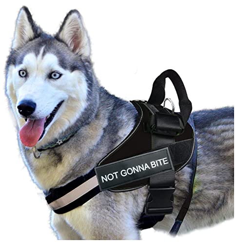 Image of 24x7 eMall Dog Harness Dog Not Gonna Bite Vest Loop Straps and Handle and Adjustable (XL- 28-38 Inch Girth)