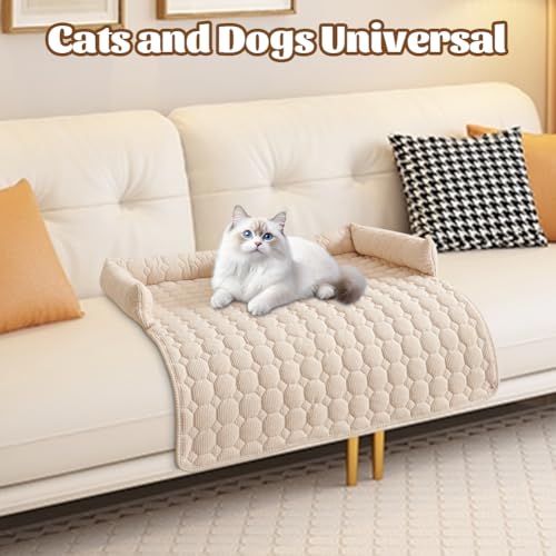 Meenewching Hundebett Sofa, 75x75cm Weiches Waschbares Sofabett Hund, Hundedecke Sofa mit Rand, Sofaschutz, Flauschiges rutschfest Hundekissen für Kleine und Mittlere Hunde und Katzen, Beige
