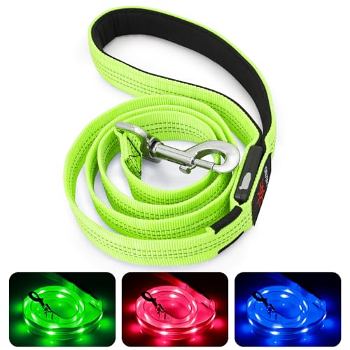 HIGO Guinzaglio per cani a LED, ricaricabile tramite USB, per cani, riflettente e luminoso, per passeggiate notturne con il cane (verde, 120 cm)