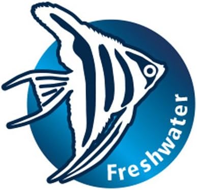 Hobby Sea Shells Set