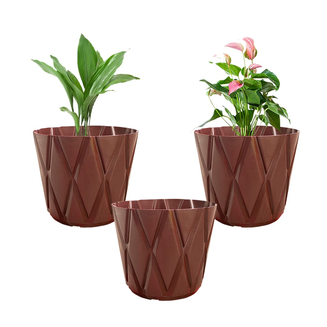 Greenri Solitaire 10 Inches (Pack of 3) Heavy Duty Plastic Planters Pots UV Resistant Pot for Living Room Outdoor Indoor Round Shape|Flawless |Gardening Planters Pot (Brown Color) (B09JLZW5Q6) Amazon Price History, Amazon Price Tracker