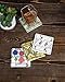 CoasterStone AS305 Absorbent Stone Coasters, Frank Lloyd Wright, 