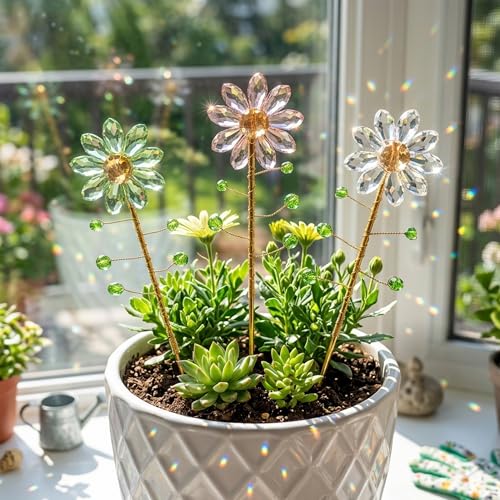 Attrape Soleil Cristal Rompt la Monotonie des Plantes Vertes en Pot - 6