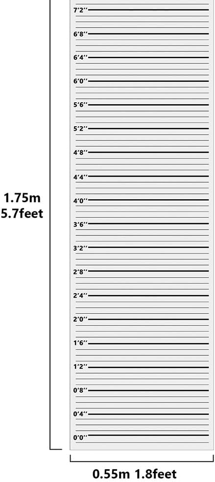 Roaring 20s Mug Shot Photo Booth Props, Height Chart Backdrop, Wanted Sign Posters Pack 26-Count