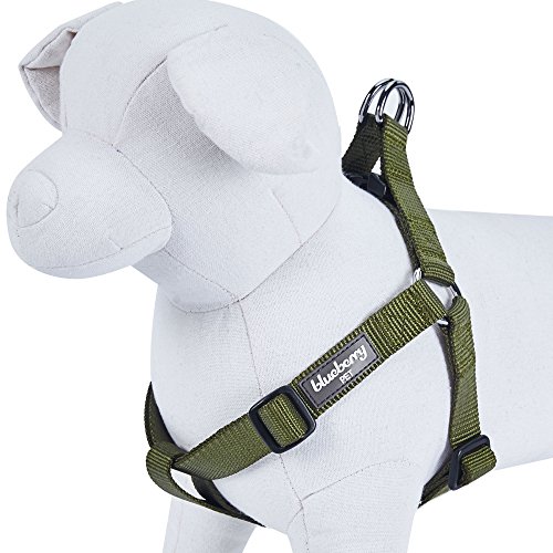 Top 10 Chest Harness For Dogs of 2022 Katynel