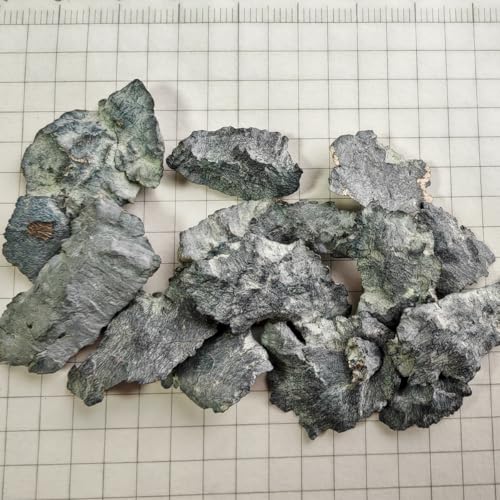 10 Grams Pure Praseodymium Rare Earth Metal Sample Lumps, 99.9% High Purity Pr Metal Chops for Element Specimen Collection or Laboratory Science Experiments