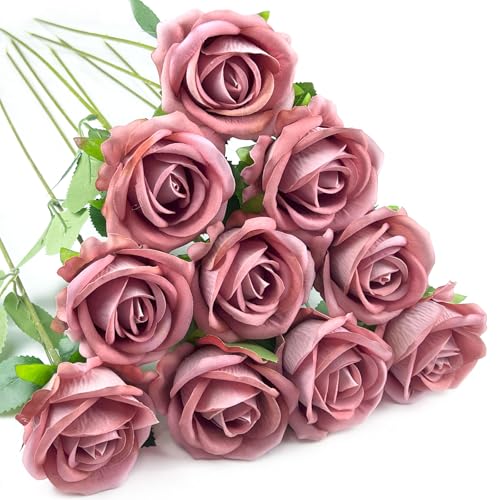 DECEED  o [Y KN 10{Zbg ԑ o^Cf[ u[P ̓  a Ԍa7cm×50cmifBsNj [sAi]