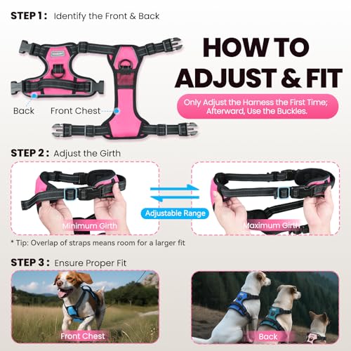 VIVAGLORY Easefit Hundegeschirr, Zugstopp Hundegeschirr Geschirr Hund Mit Griff, Anti Zieh Geschirr Für Hunde Training & Spazieren, Gepolstert & No-Pull Ausbruchsicher für Hunde, M, Schwarz