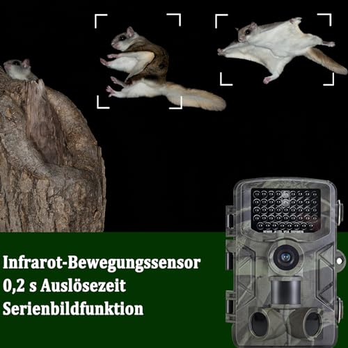 FunKind Wildkamera 4K 50MP, Wildtierkamera mit Nachtsicht Bewegungsmelder Weitwinkel 120°, 850nm IR LEDs Nachtsichtkamera, Nachtsicht bis zu 25 m, Jagdkamera mit 32 GB SD, Wasserdicht IP65