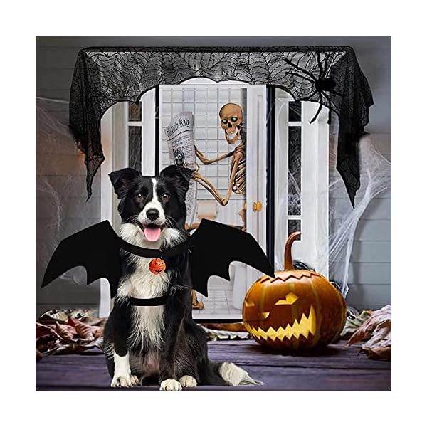 Bowtus halloween dog bat wings pet costume with pumpkin bells for halloween party decorations, cute puppy dog and cat collar bat wings cosplay party dress up funny cool appare(x-large) - image 3
