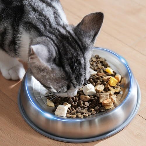 Récipient de nourriture chat en acier inoxydable pour cuisine propre - 4