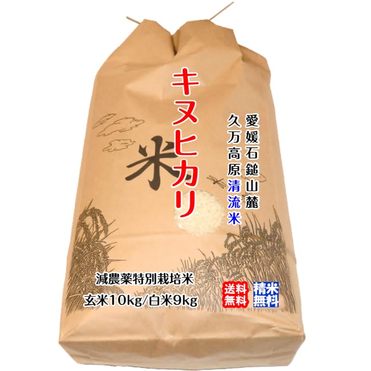 Amazon.co.jp: キヌヒカリ（玄米10kg）2025年令和7年産 愛媛 石鎚山麓 