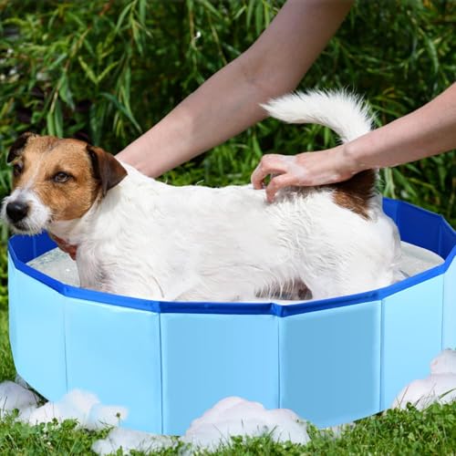 Sunshine Smile Faltbarer Pool für kleine Hunde, Badewanne, UV-beständig, vielseitig, Innen- und Außenbereich, PVC, 50x8 cm, 15 kg, Rot