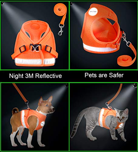 Cat Harnesses And Puppy Harness With Leashes Set, Escape Proof Cat Harness, Adjustable Reflective Soft Mesh Vest Fit Puppy Kitten Rabbit Ferrets's Outdoor Harness (Orange, Xs, Chest: 6" - 8") #TOP4