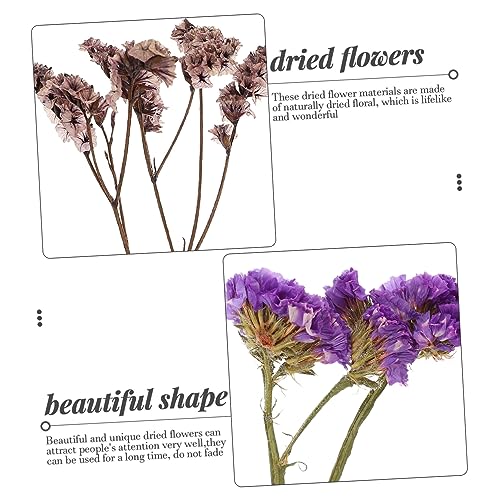 Kit de flores secas para manualidades Cabilock miniatura 7