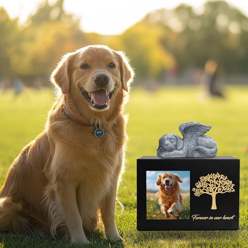 DiDiBirDi Haustierurne für Hundeasche Hundebox Holz Schwarz Hundeurnen für Asche Haustier Asche Box mit Hundeengel und Aschebeutel